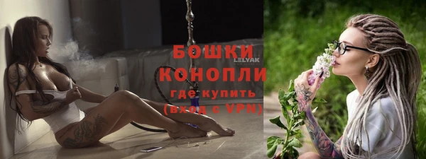 тгк Богородицк