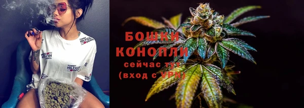 тгк Богданович