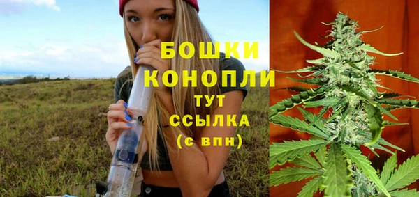 амф Богородск