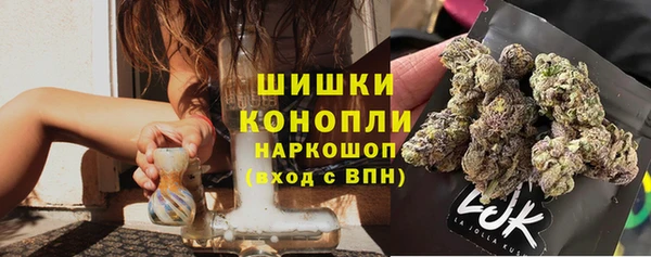 тгк Богданович