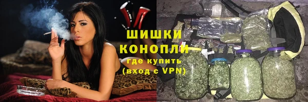 амф Богородск