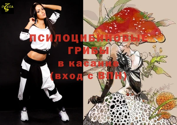 тгк Богданович