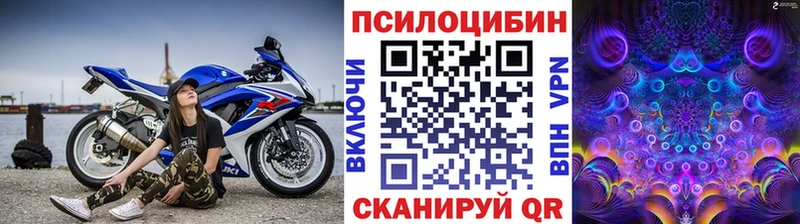 Псилоцибиновые грибы Psilocybine cubensis  как найти закладки  Туран 